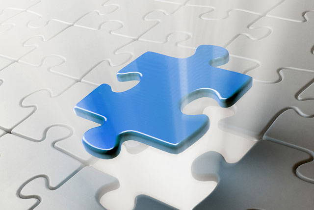 Distinguished Fellows